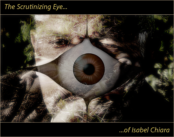 A scrutinizing eye... (dedicated to Isabel Chiara)
