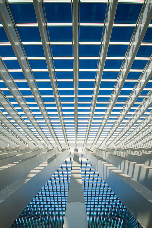 canon eos 7D liège Guillemins train STATION calatrava abstract futuristic geoffrey Gilson www.geoffreygilson.net