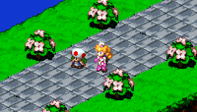 16 bits animation  aseprite mushroomkingdom Pixel art pixelanimation Princesspeach snes Supernintendo Videogames