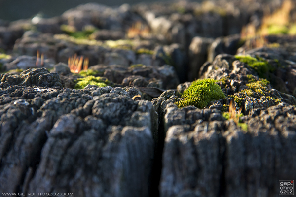 Landscape Miniature sunset blur tilt shift Nature cliff valley rocks
