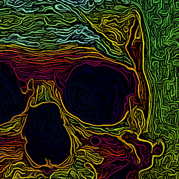 skull abstract vibrant skulls Colourful 