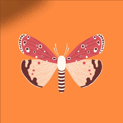 Graphic butterfly animation on Behance