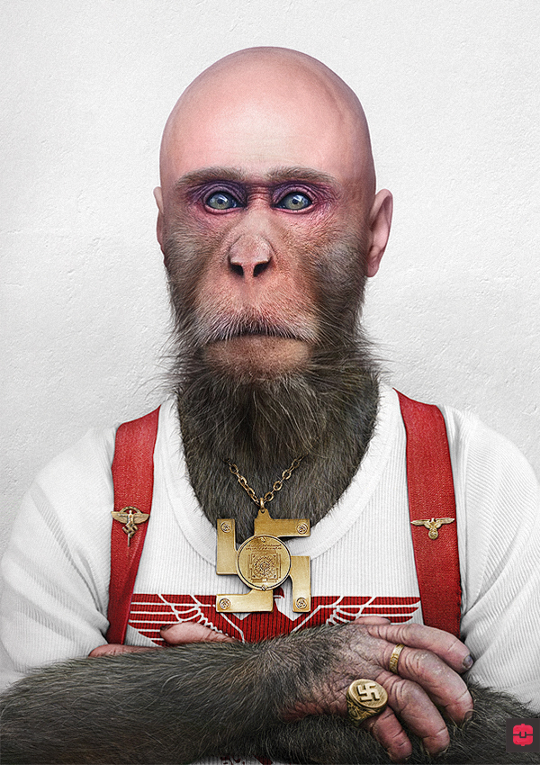 animal monkey portrait