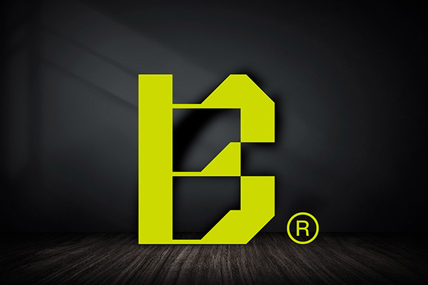 BARDA Logo Design & Branding | Visual Identity