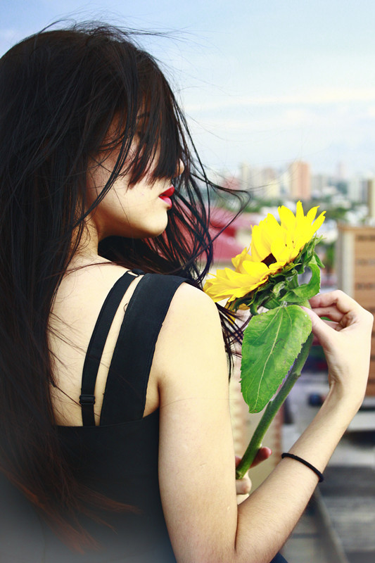 Sunflowers portafolio Canon model