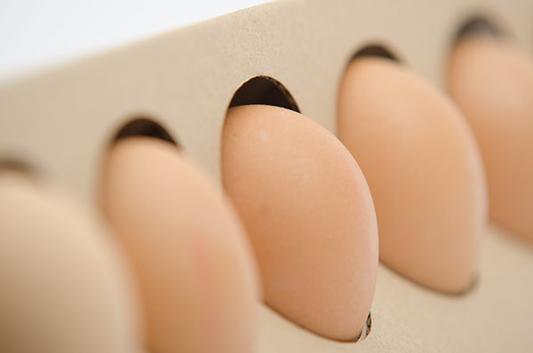 egg box egg holder