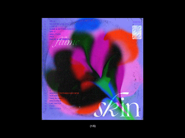 skin//flume cover art
