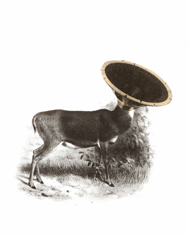 viado deer animals speaker souds Nature collage bizarre surreal analog paper cut and pasta