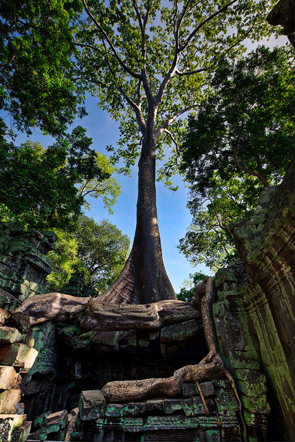 Camobia angkor temples southeast asia HDR travel photography