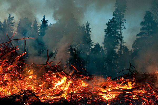 woods swedish tradition traditions Silhouette barn Bonfire art Landscape Documentary  dokumentärfotografi dokumentar valborg valborgsmässoafton