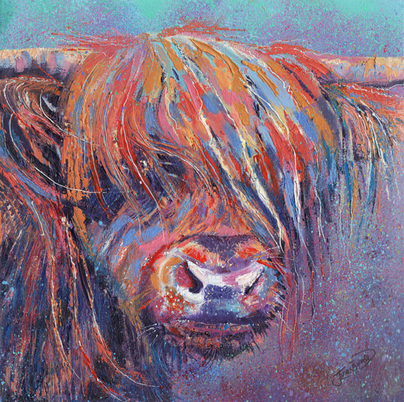 Highland Cows coos expressive painting oils on canvas acrylics animal art wildlife