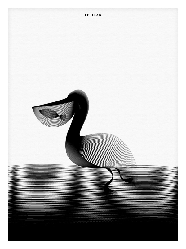 animals moire bear polar penguin pelican killer Whale Turtle Illustrator black White pattern minimal blending