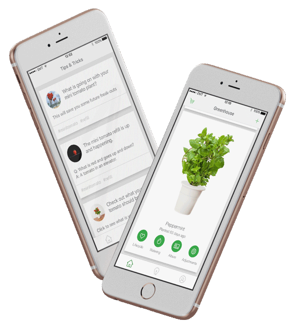 ux UI app ios Plant Icon Native timelapse herbs garden icons minimal application Nature mobile