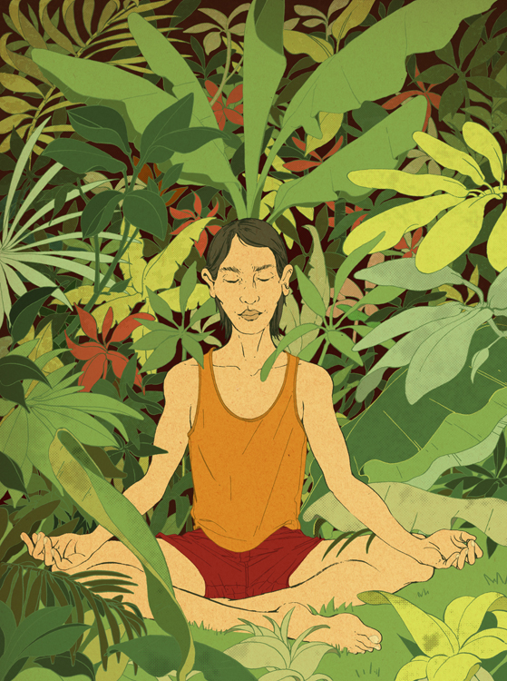 meditation Yoga plants meditação