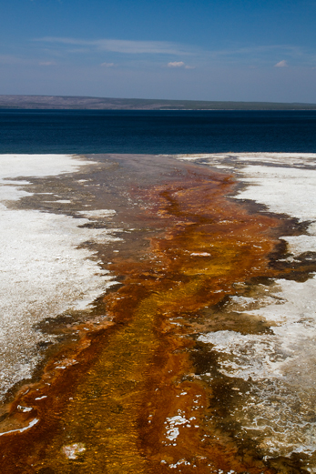 Yellowstone hotsprings Bacteria Landscape Nature national parks