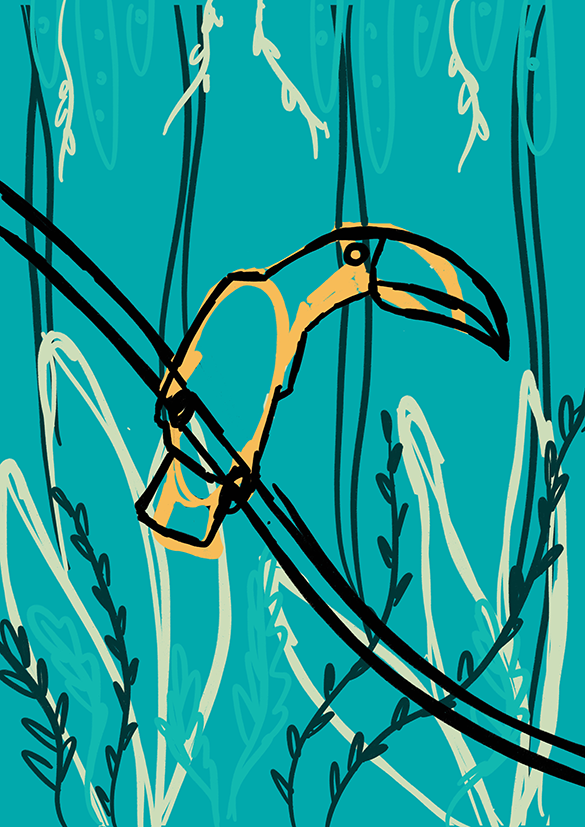 animals bird Digital Art  digital illustration Drawing  forest jungle Nature Procreate toucan