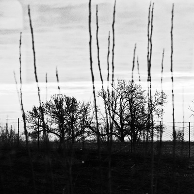 Window snow White Landscape train