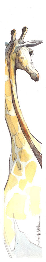 art jennkraska Jennifer Kraska giraffe watercolor