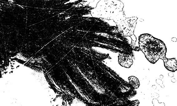 person feelings litho litografia carcomiendome Opposite oso bear DM woodcut xilografia cuervo textura natural stone