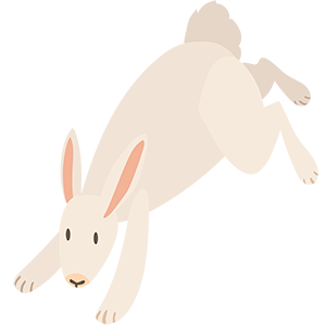 cartoon digital illustration adobe illustrator Graphic Designer ILLUSTRATION  Digital Art  bunny rabbit animal cute
