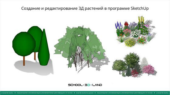 Создание и редактирование 3Д растений в программе SketchUp