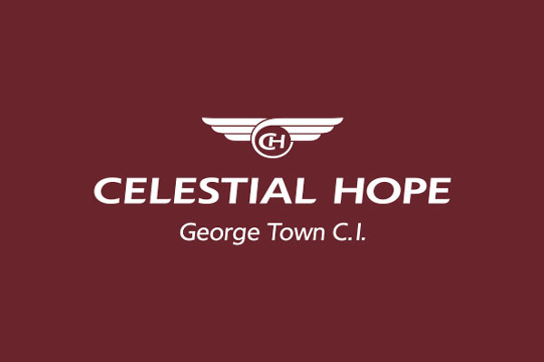 Motor yacht Celestial Hope, 47m | Logo design on Behance