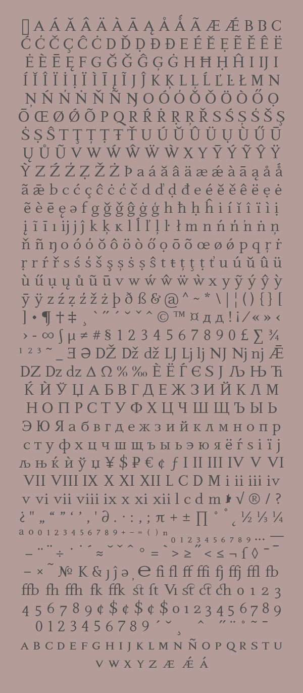 text  serif Typeface type