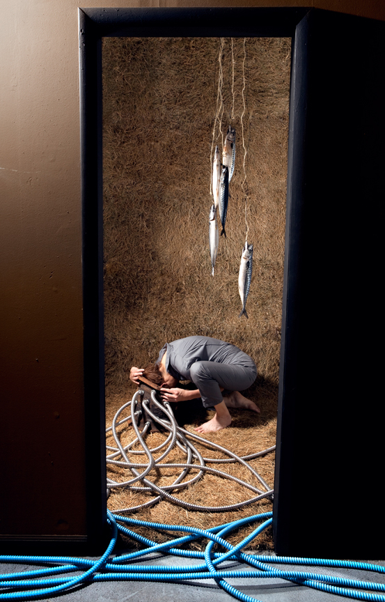 Max Shuster conceptual conceptual art conceptual photography installation Installation Art fish