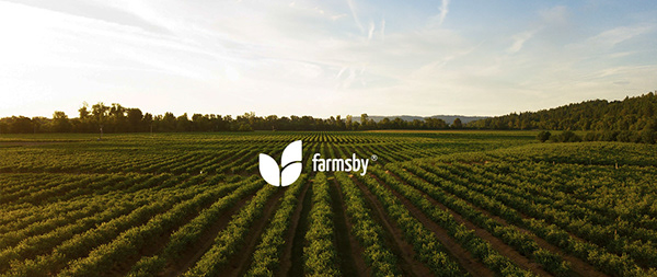 Farmsby Brand Identity