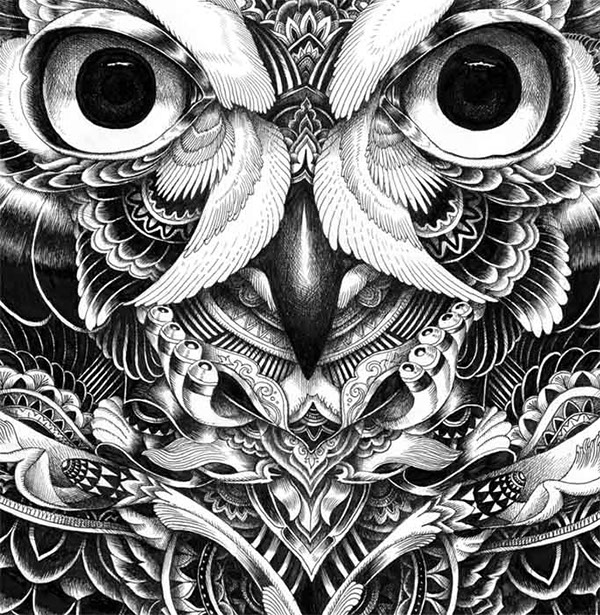 Owl Part 5