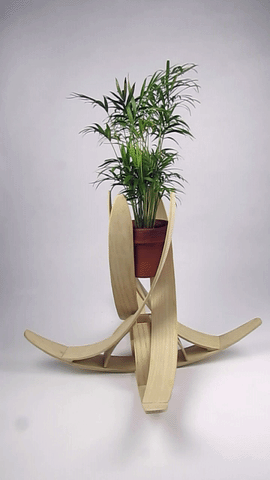 Plant sway motion movement Lamination plant holder