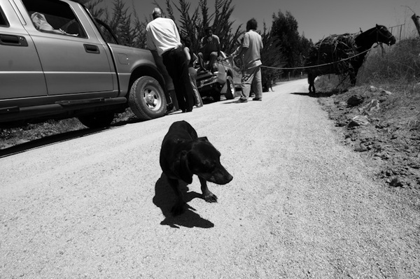 chile earthquake tsunami photography felipe cantillana photo nikon survivors