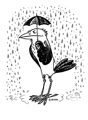 crow bird comic caricature  