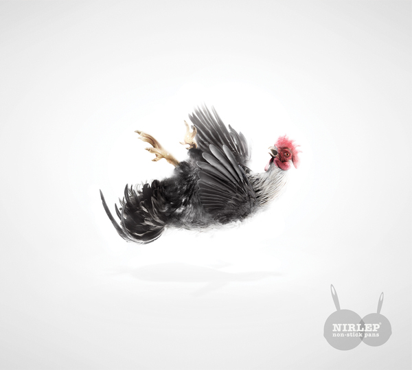 animals color digital imaging  CGI  3d Realism Real hyper real Fur skin details life pig chicken
