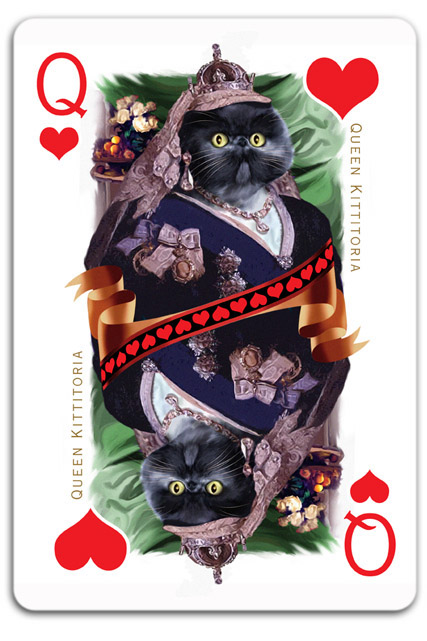 cats Cat cards