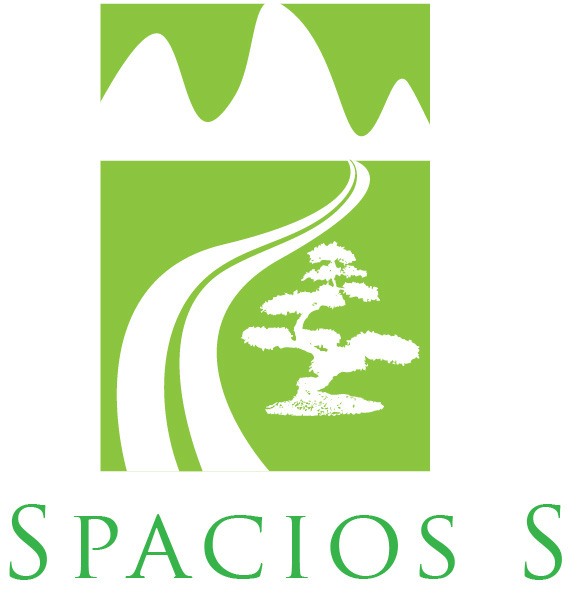 logo SPACIOS Spa ilustracion diseño gráfico