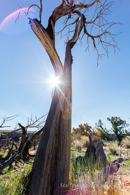 Mesa Verde Anasazi David Martin starfire photography archaeology Colorado