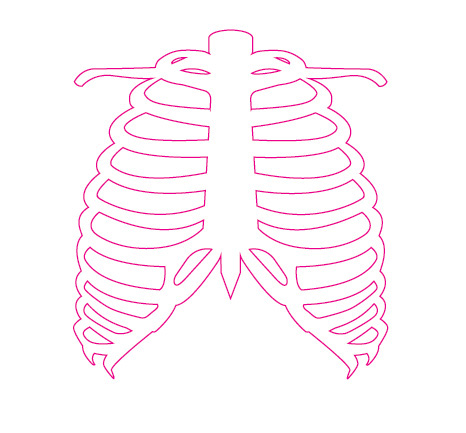 Cardiovascular & Respiratory System