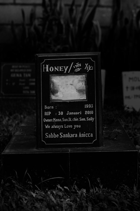 Our Beloved  agan harahap pet cemetery