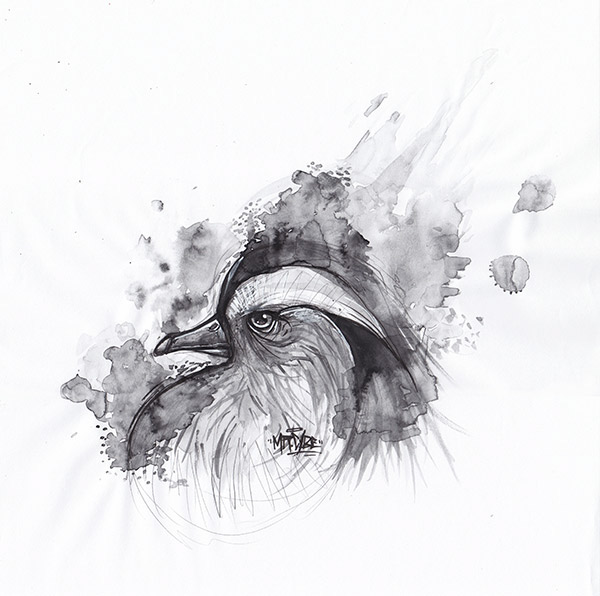 birds  cybirds watercolor
