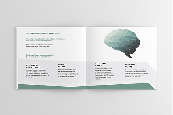 science research Technology institutional brochure editorial design Illustrator InDesign green presentation geometry Portugal