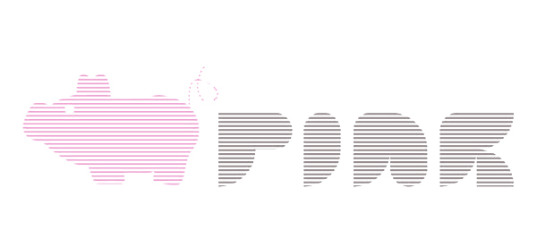 no square design  branding  logo design  Pink   pig Corporate Identity logo