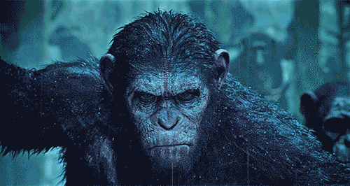 Image result for dawn of the planet of the apes gif