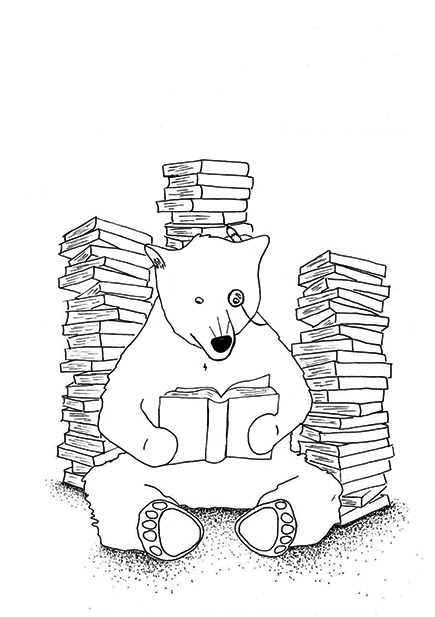 ILLUSTRATION  bear ours dessin Drawing  point Jeunesse livre book enfant