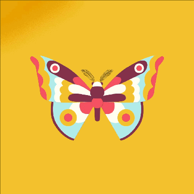 Graphic butterfly animation on Behance