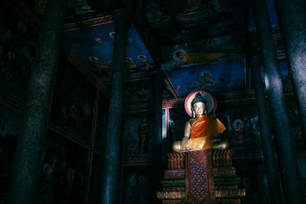 Travel Cambodia asia siemreap angkorwat Rice paddie culture buddhism travelphotography portrait NATGEO national geographic