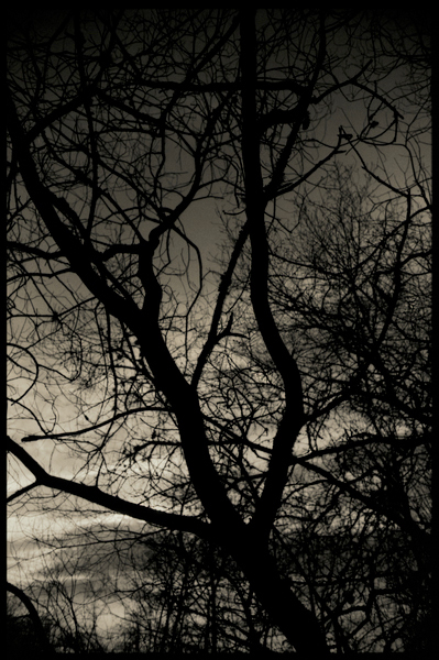 curling Winter sports scotland ponds Landscape Nature fine art photograpy art black & white