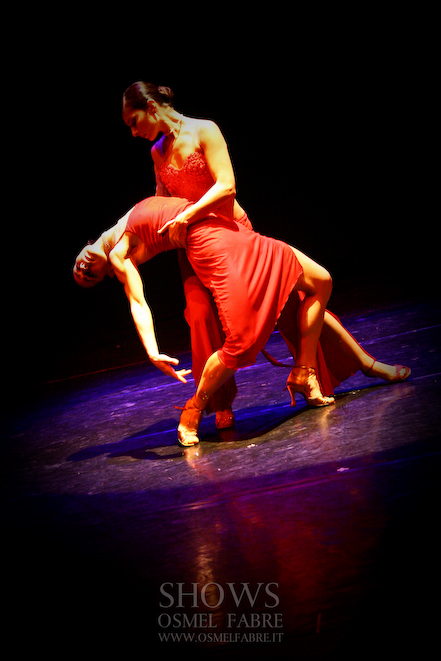 tango Flamenco jazz salsa shows
