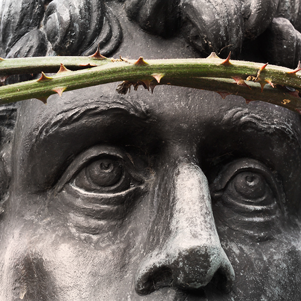passion jesus christ corone spine urbino andrea papi installation art crown of thorns crown thorns