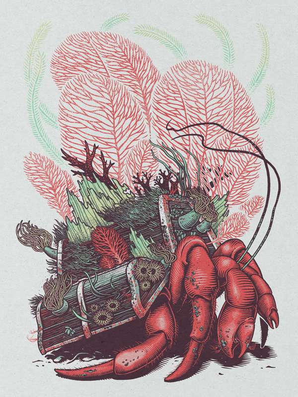Brian  Luong hermit crab coral anemones treasure chest Luong